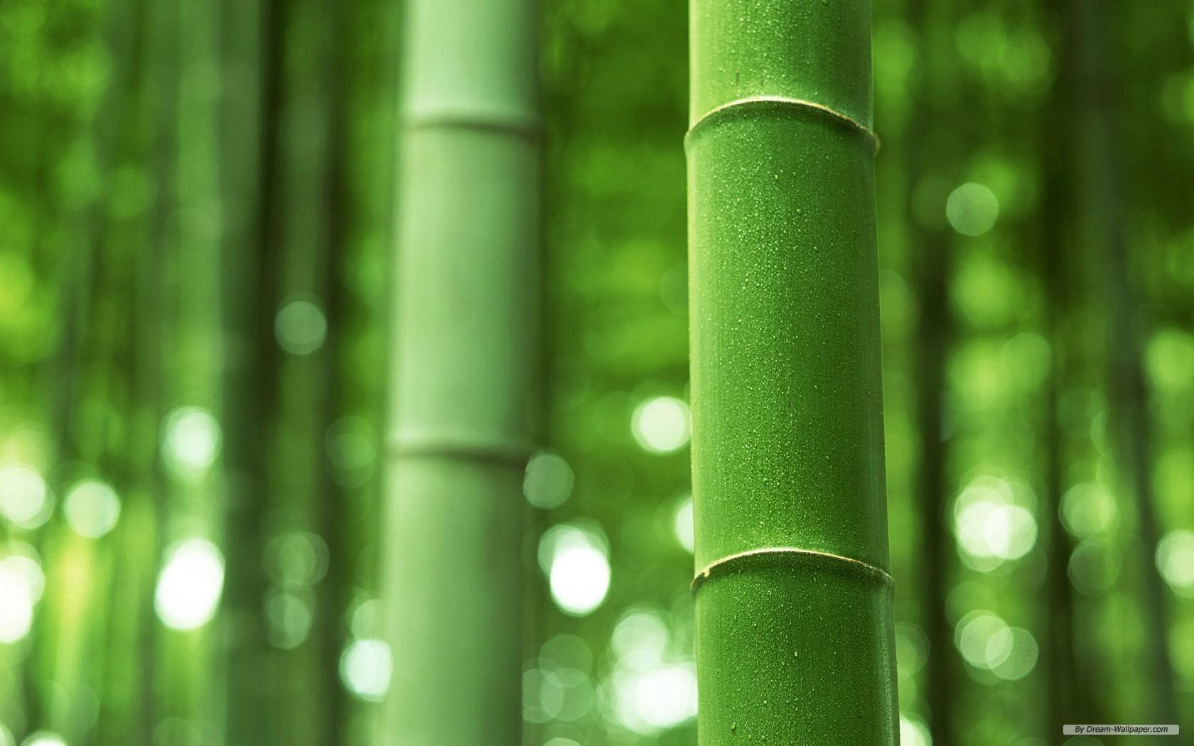 Slide background